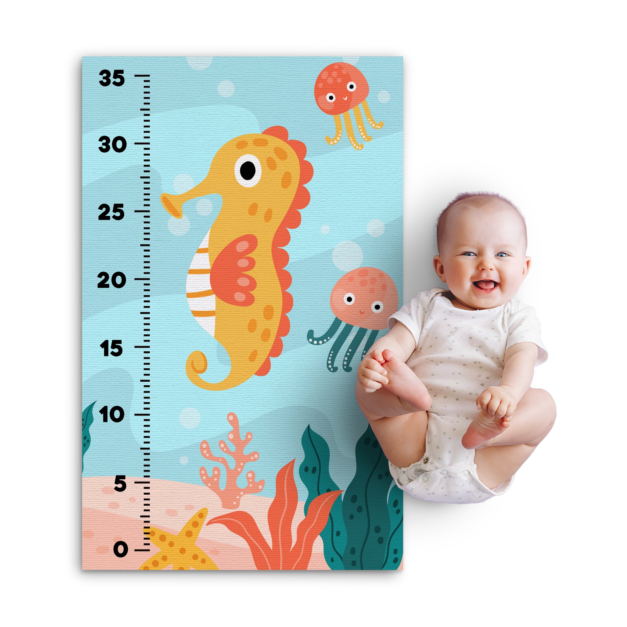 Seahorses Infant Growth Chart