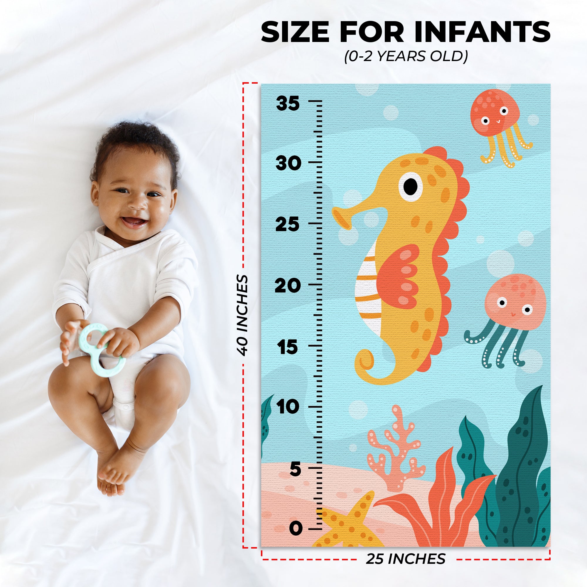 Seahorses Infant Growth Chart