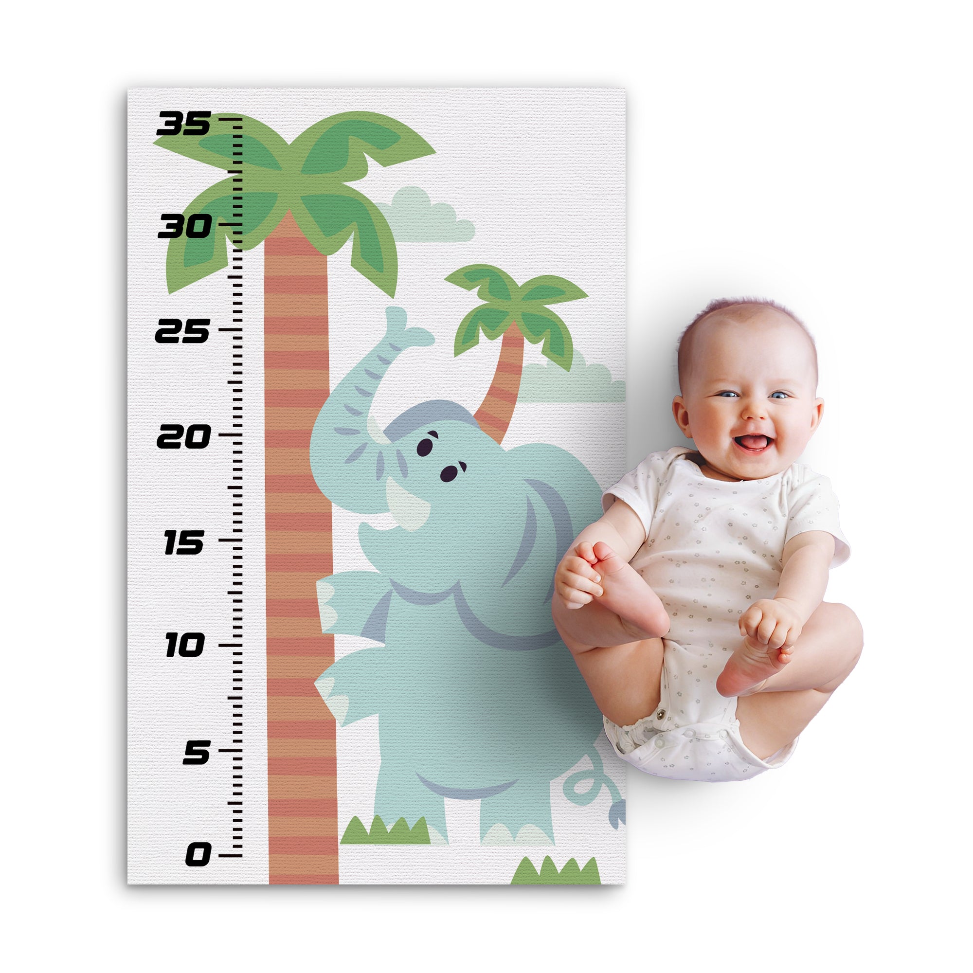Elephant Infant Growth Chart