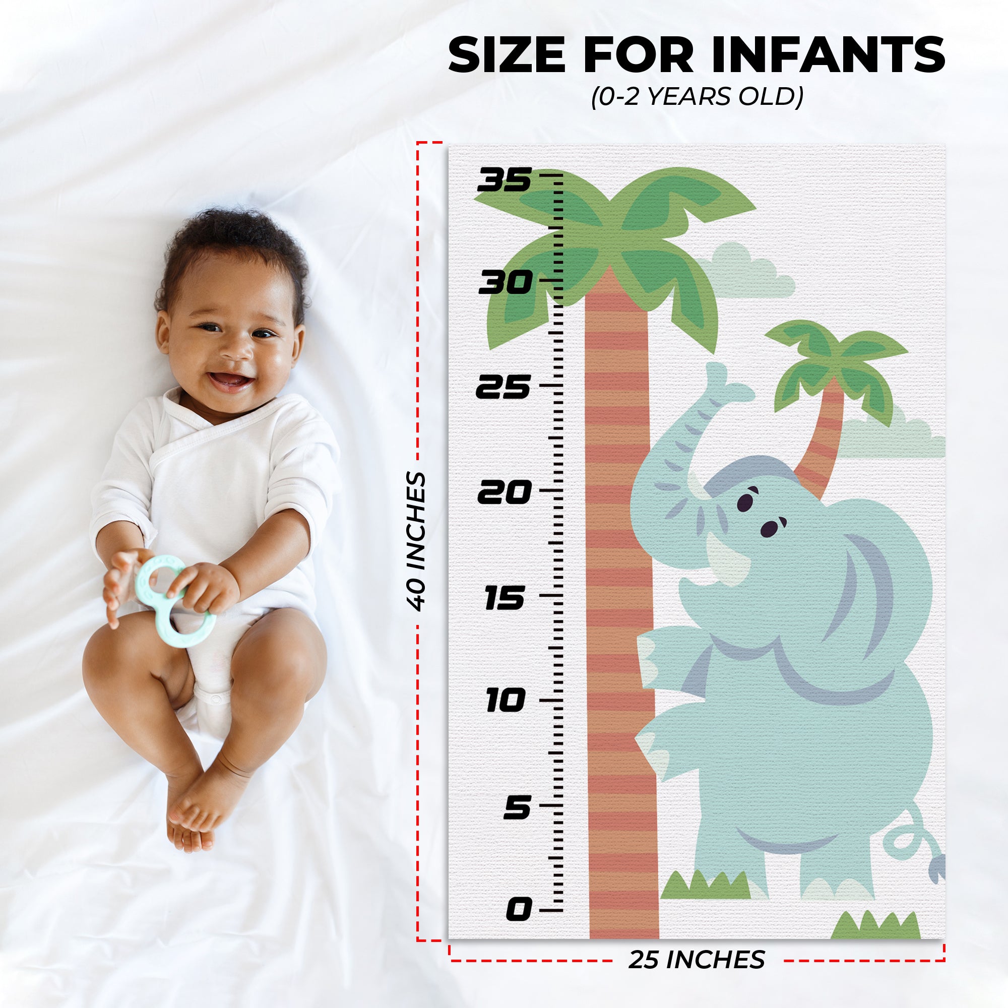 Elephant Infant Growth Chart