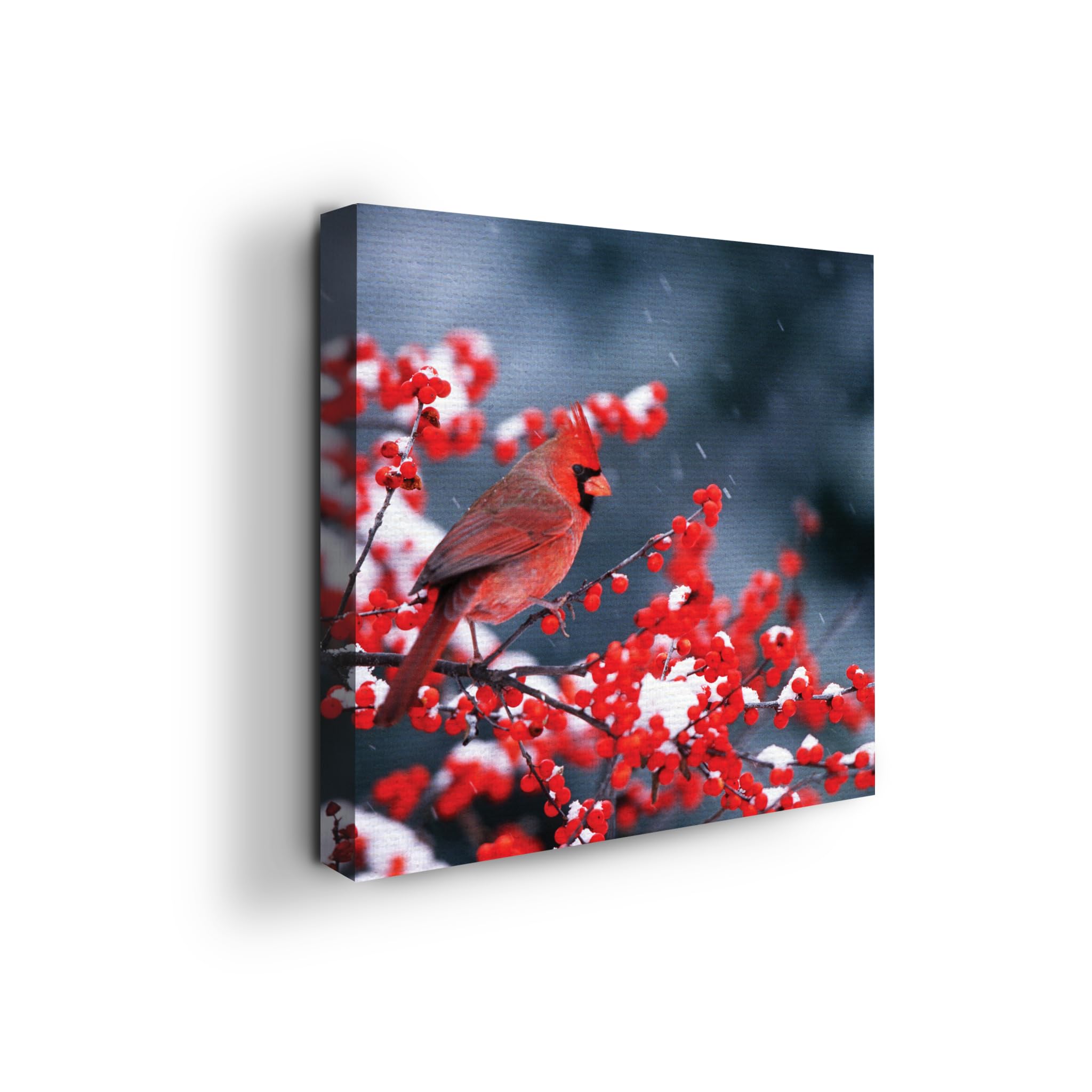 Red Cardinal Wall Canvas Set of 1