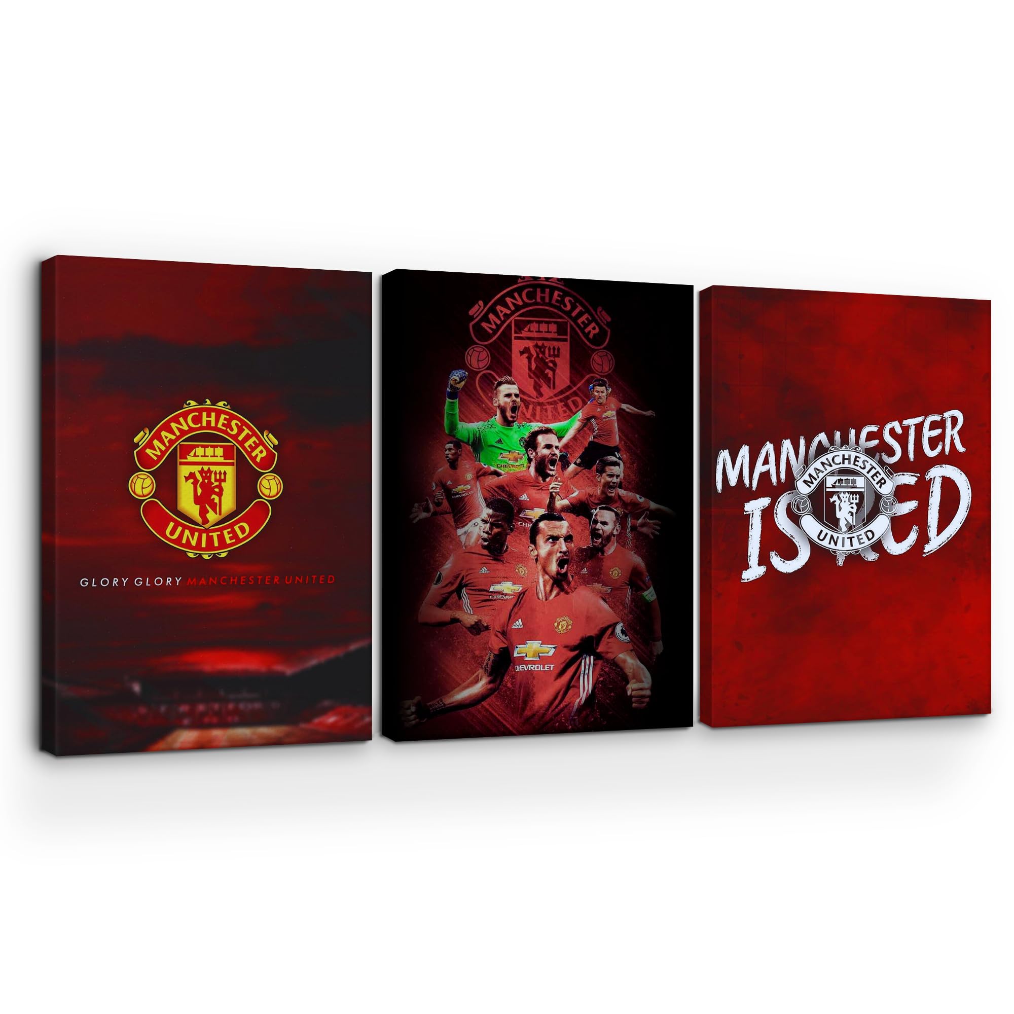 Manchester United Wall Canvas