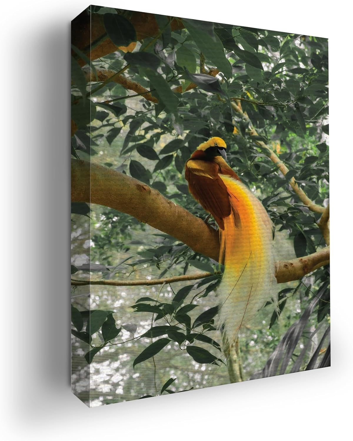 Birds of Paradise Wall Canvas Set of 1