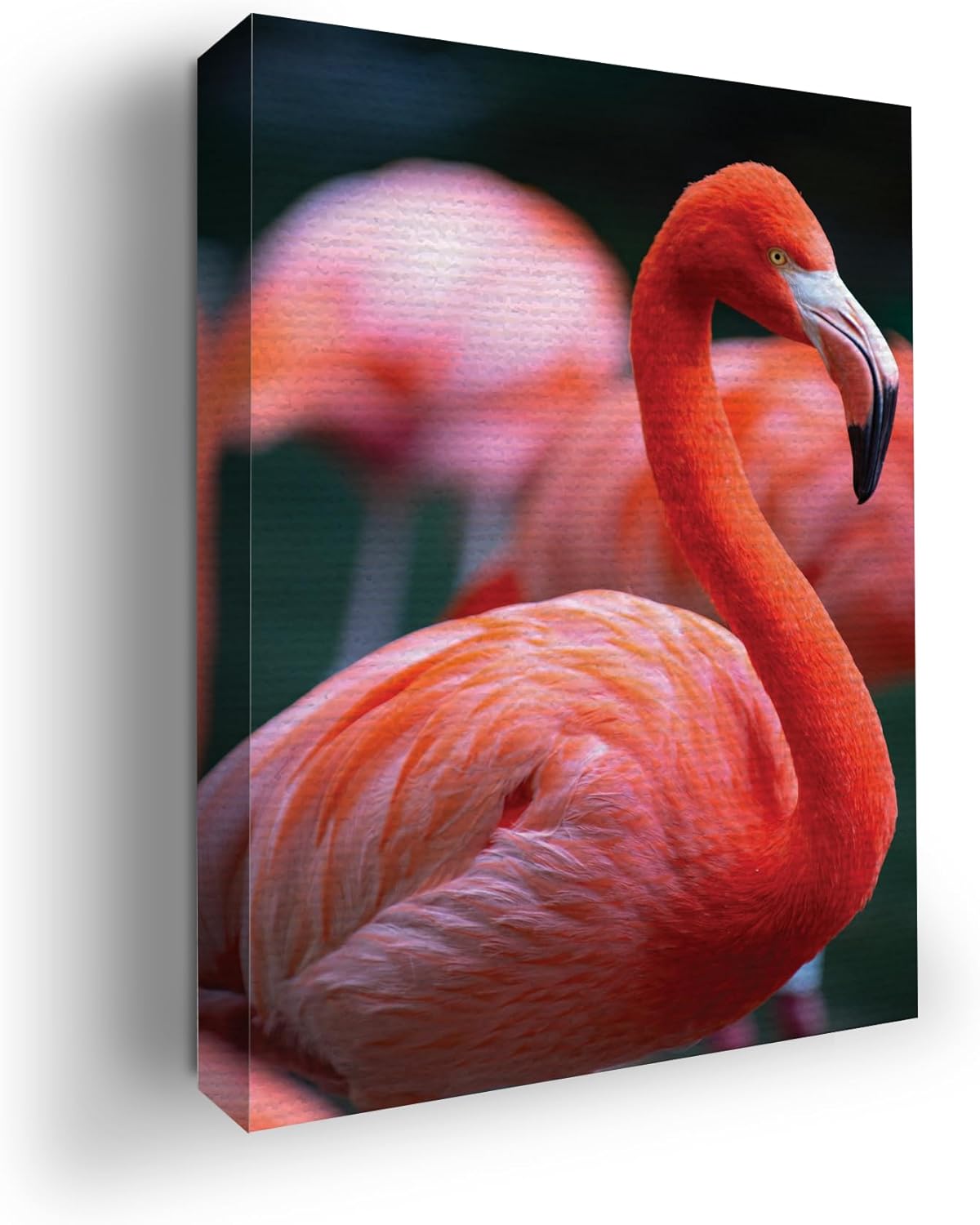 Flamingo Wall Canvas Set of 1