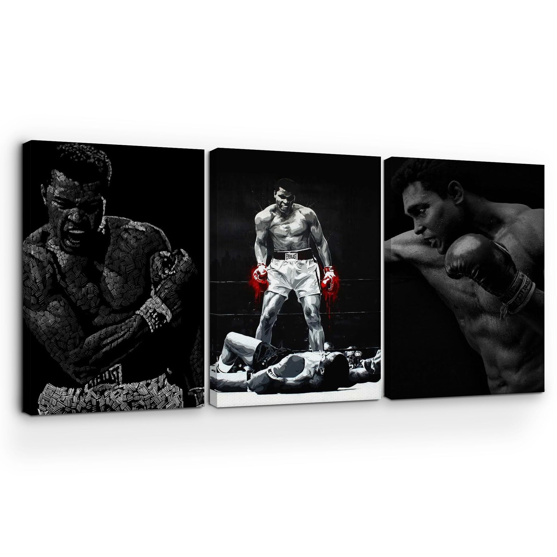 Muhammad Ali Wall Canvas Set of 3 - 16x24