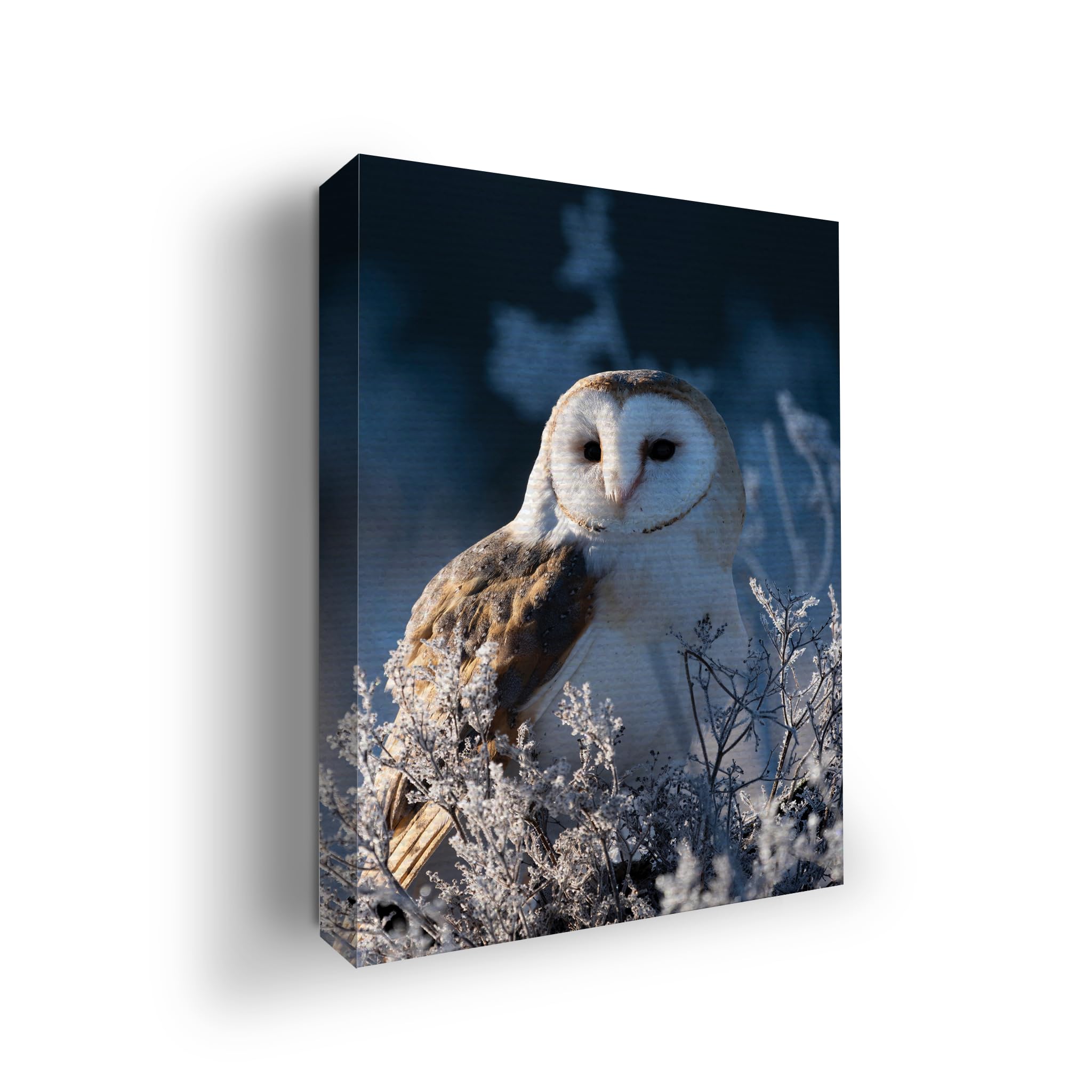 Owl Wall Canvas Set of 1