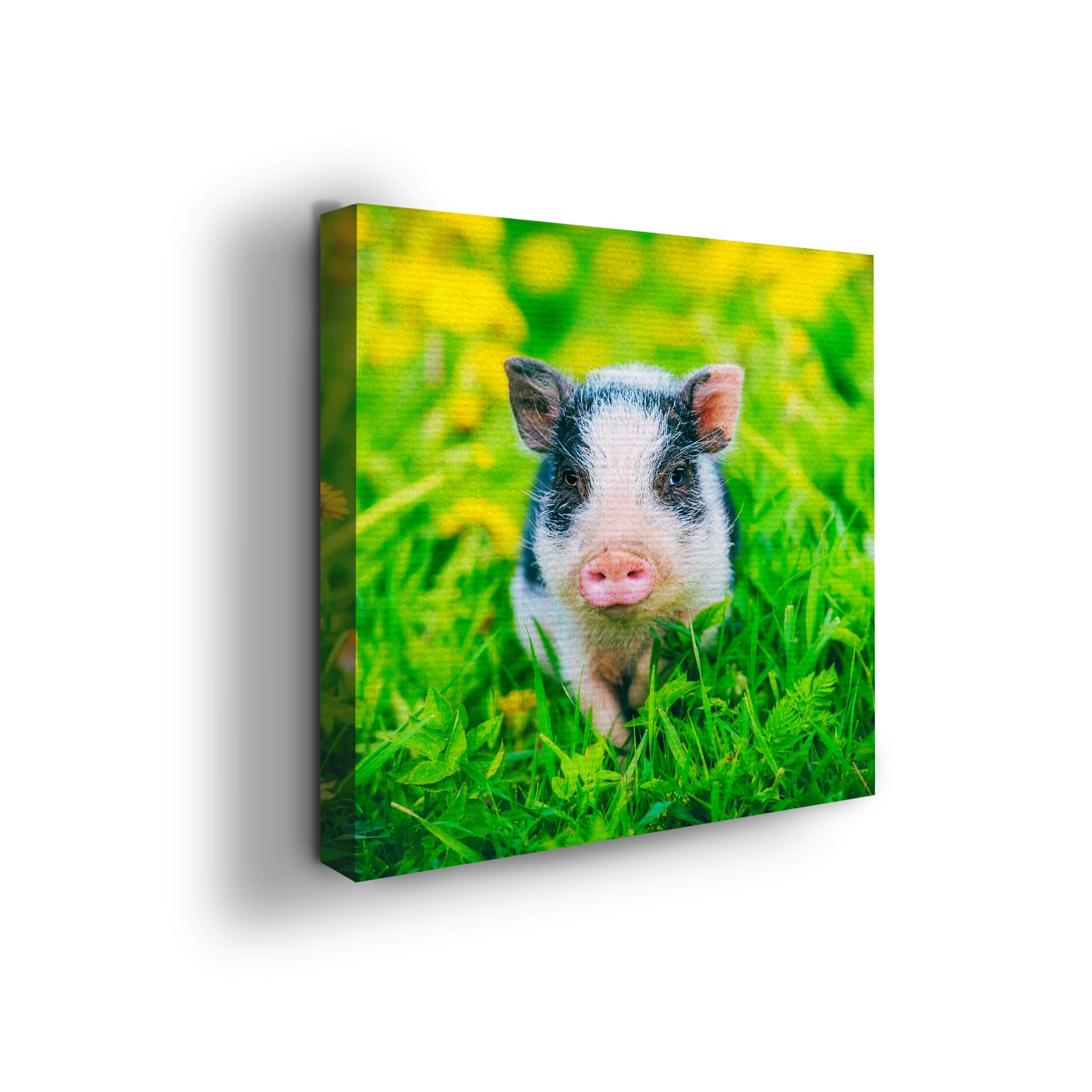 Pig Wall Canvas Set of 1