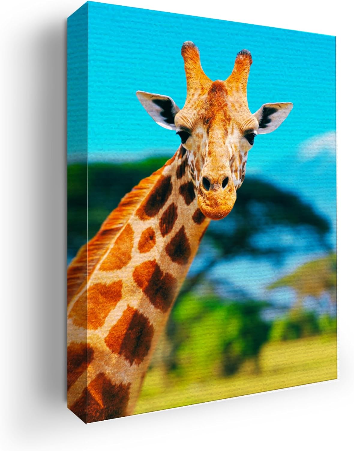 Giraffe Wall Canvas Set of 1