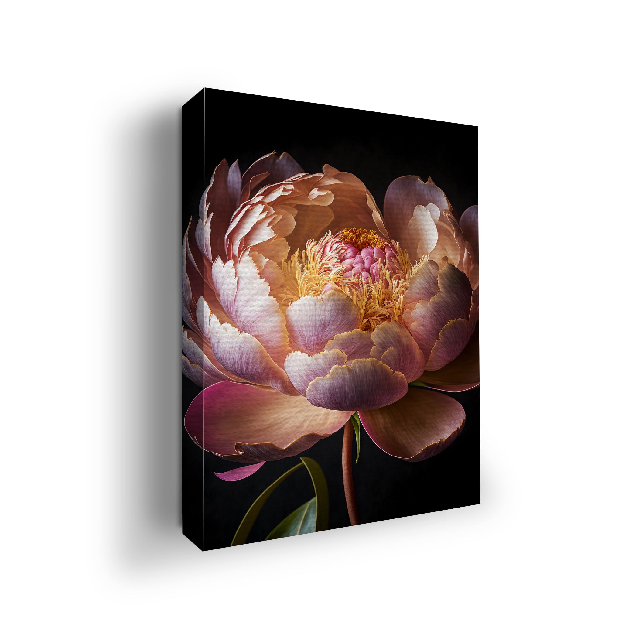 Peony Wall Canvas Set of 1