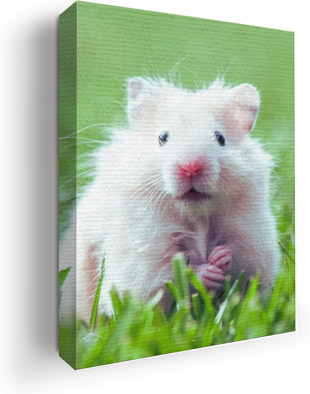 Hamster Wall Canvas Set of 1