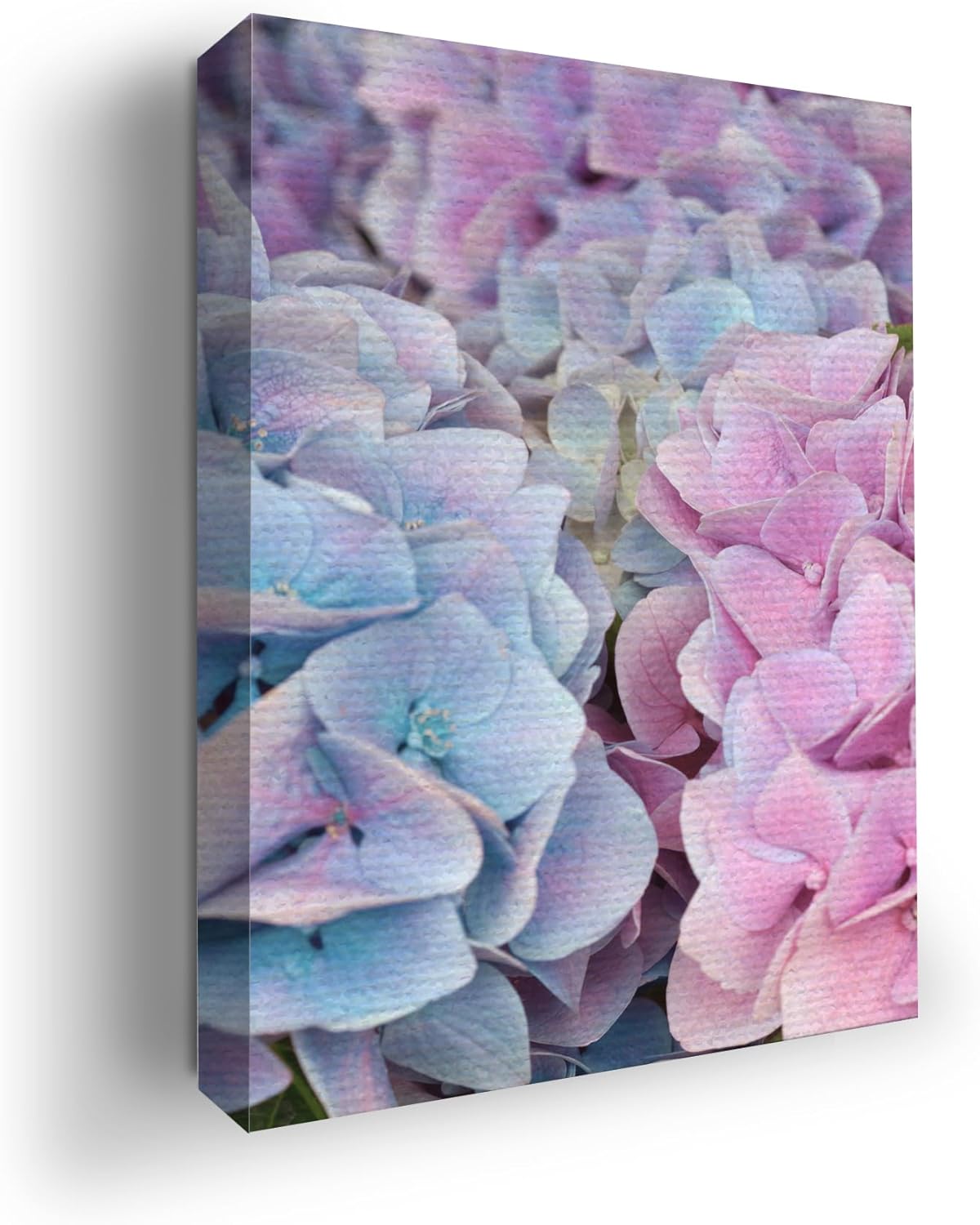 Hydrangea Wall Canvas Set of 1