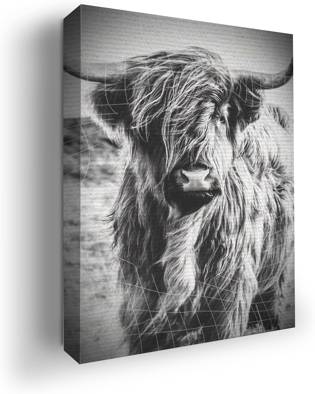 Highland Cow Wall Canvas Set of 1