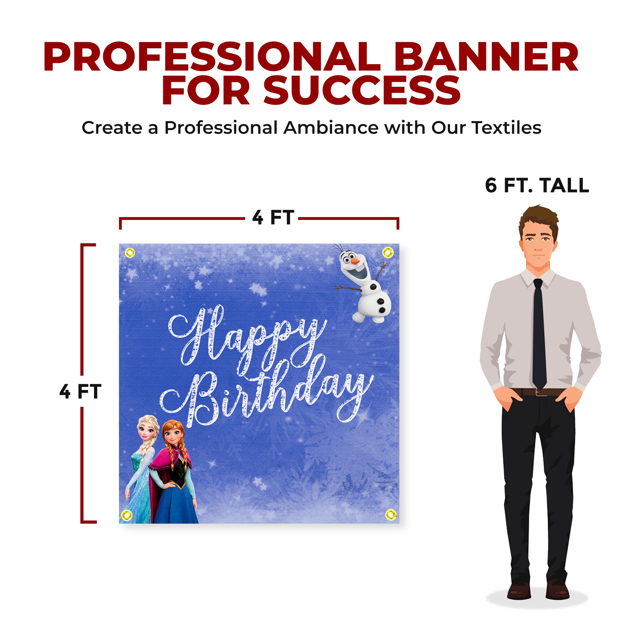 Frozen Birthday Large Banner