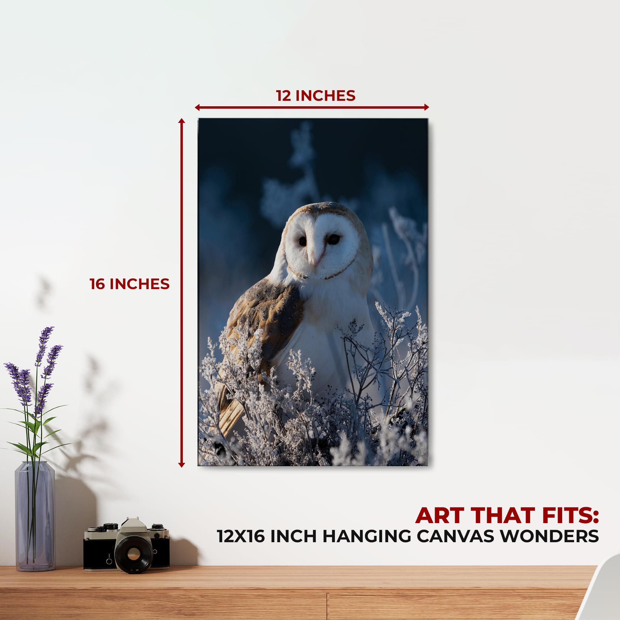 Owl Wall Canvas Set of 1