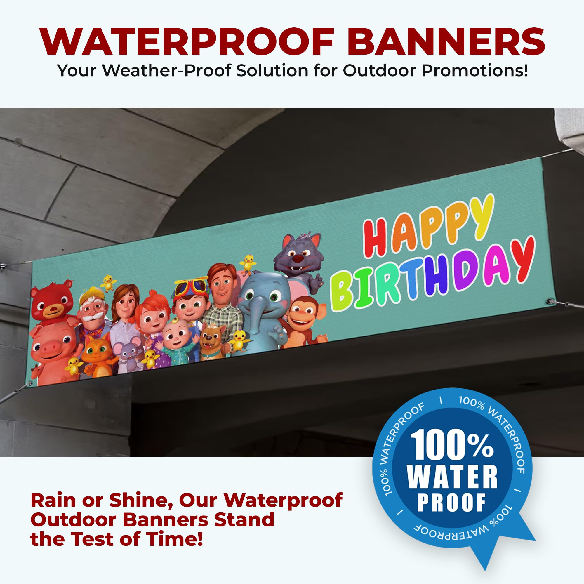 Cocomelon Birthday Large Banner