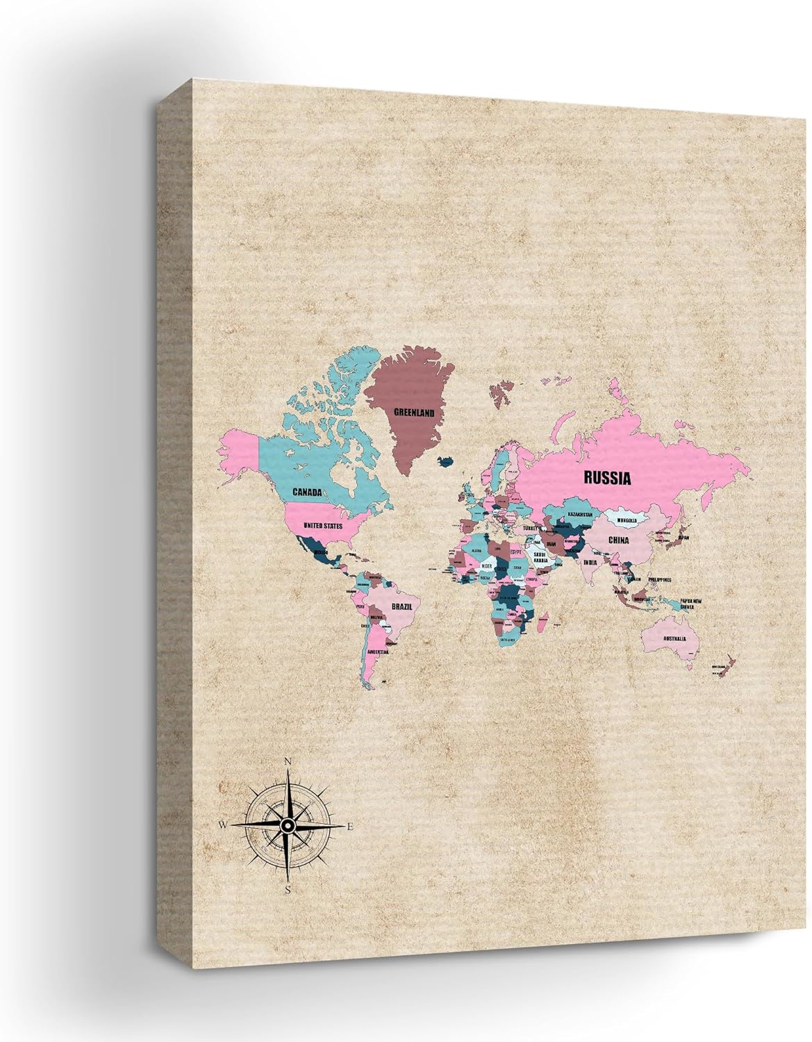 Pink World Map Wall Canvas Set of 1