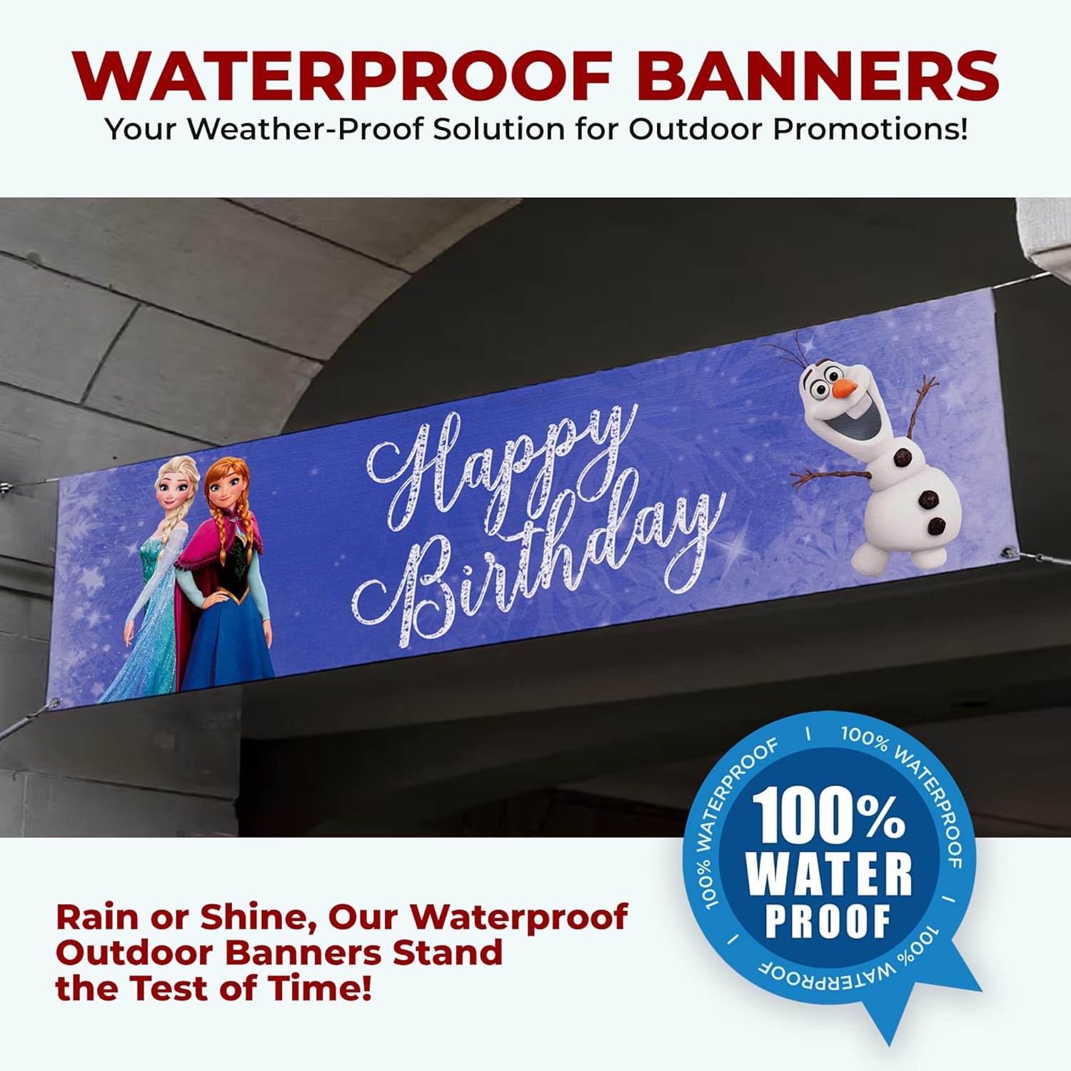 Frozen Birthday Large Banner