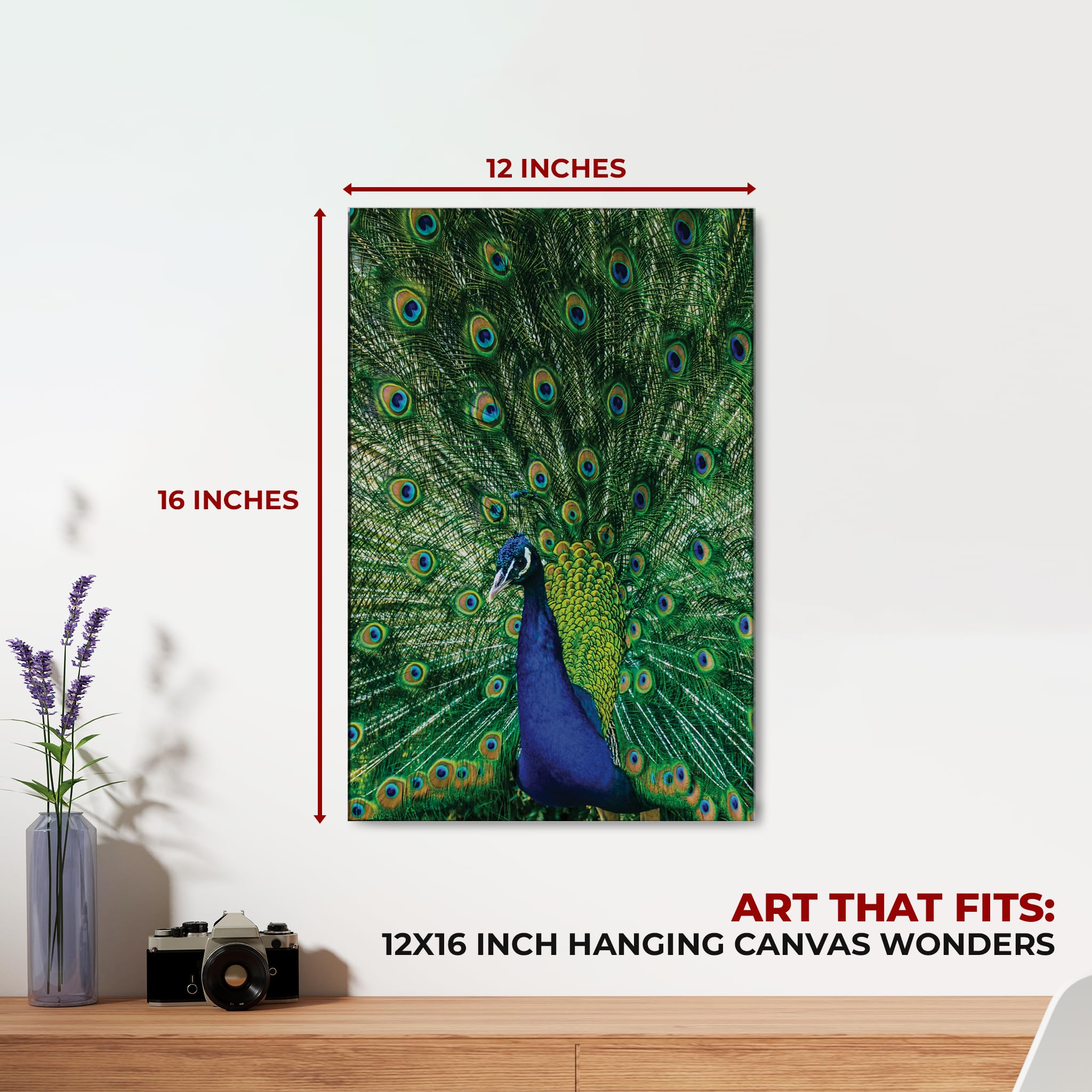 Peacock Wall Canvas Set of 1