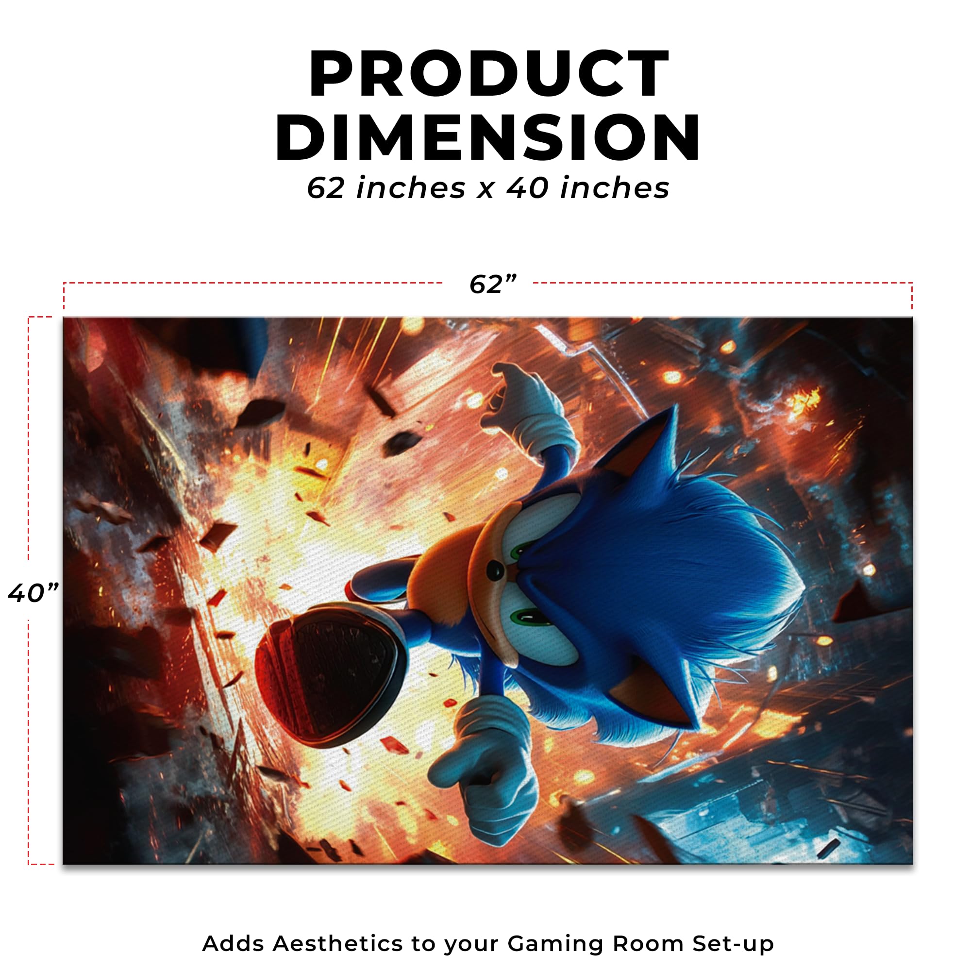 Sonic Decor Rug- 62x40 inches