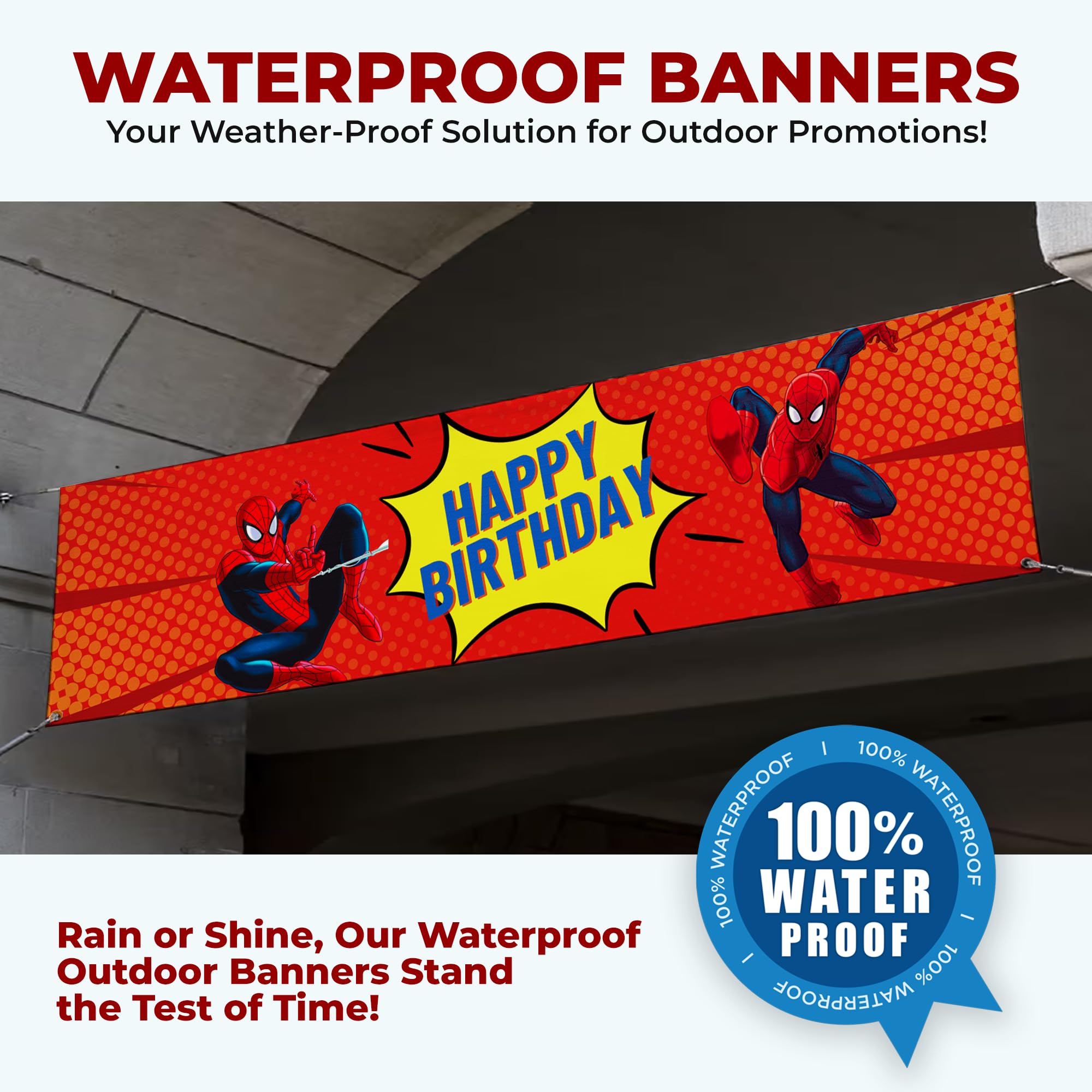 Spiderman Birthday Large Banner