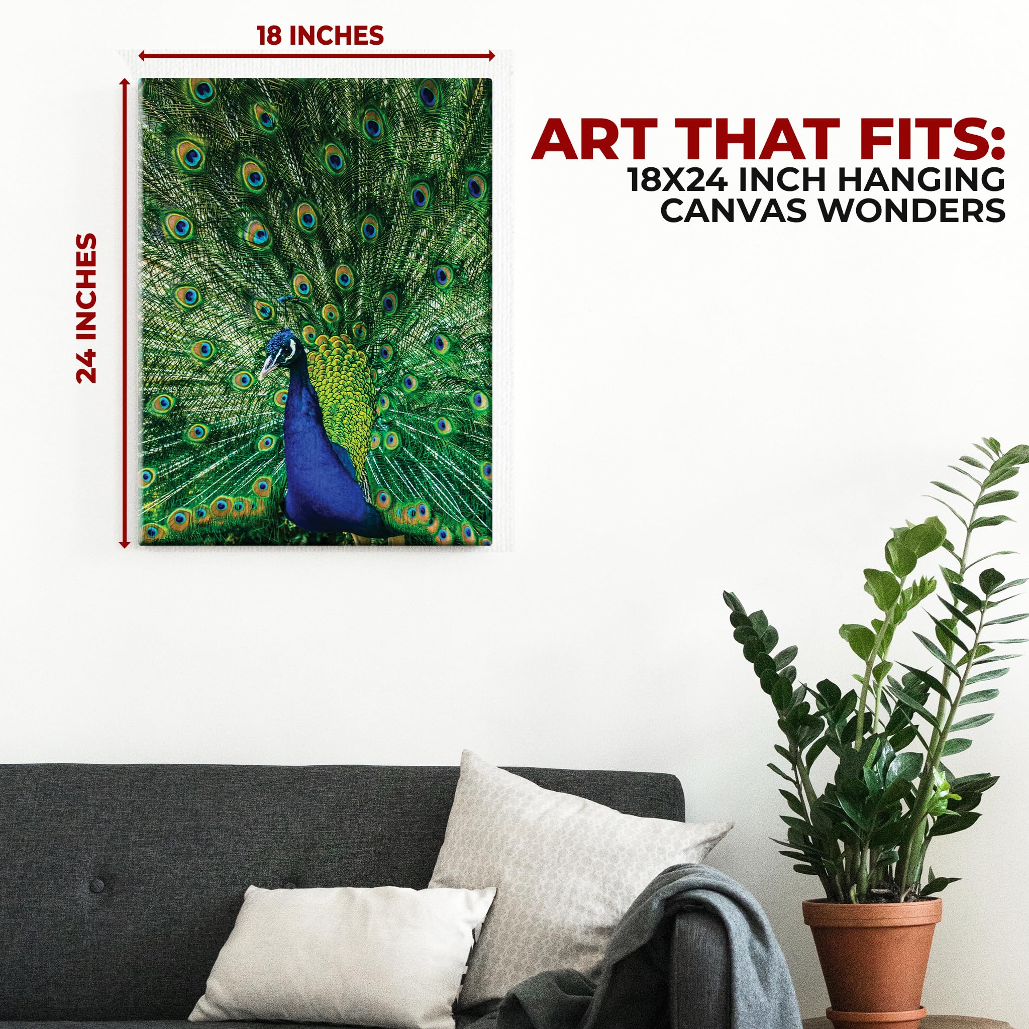 Peacock Wall Canvas Set of 1