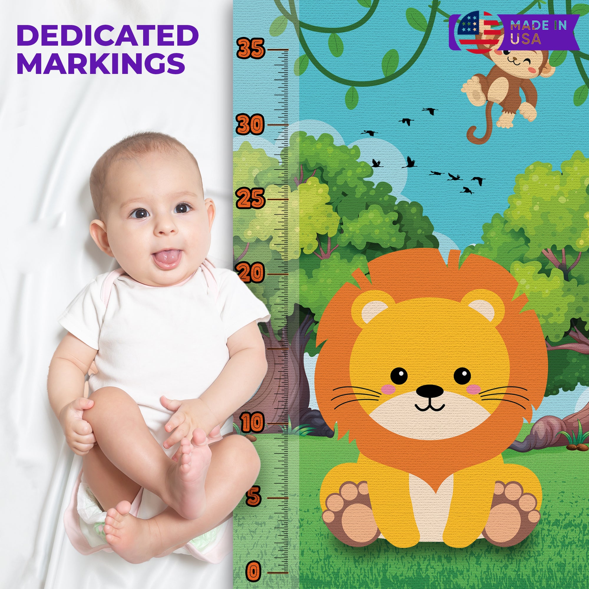 Dream Controller Baby Lion Infant Growth Chart