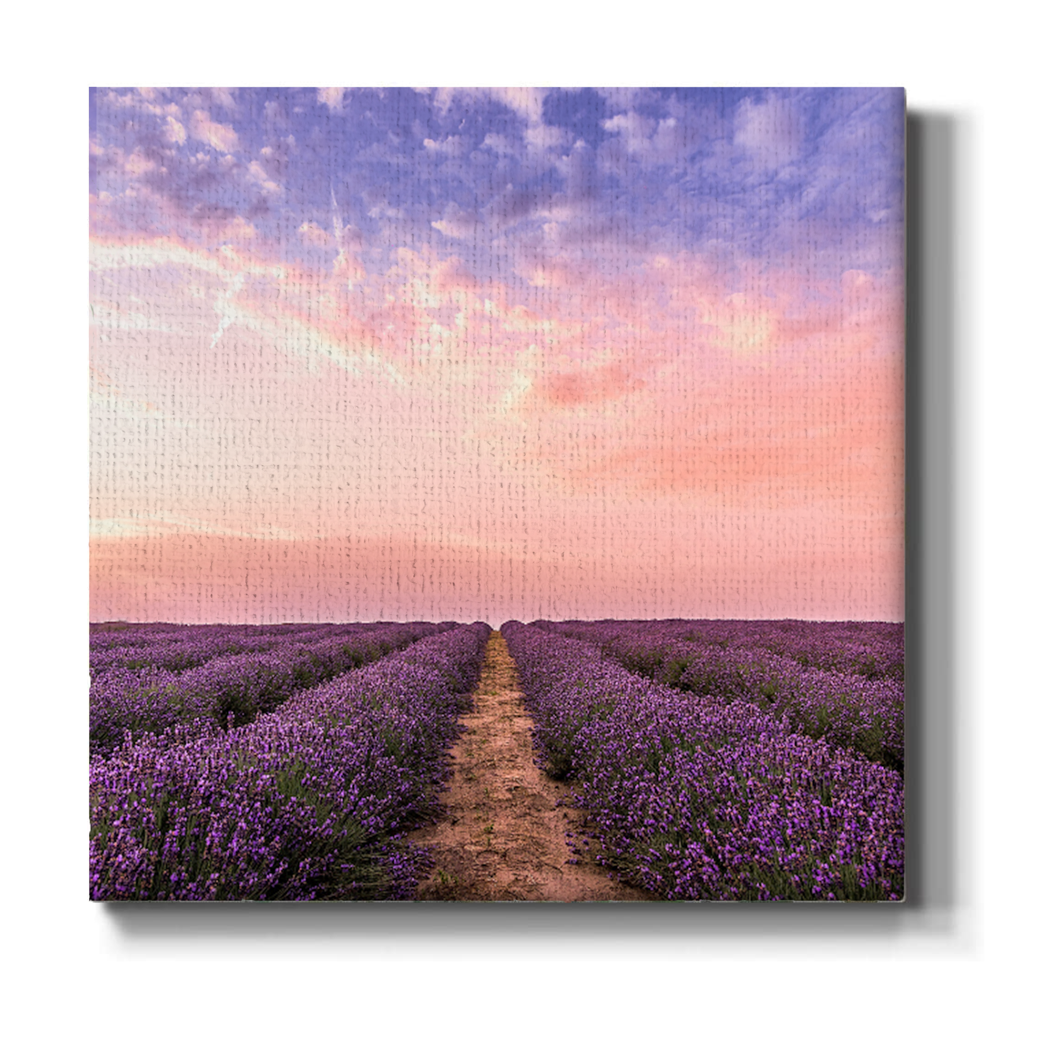 Flower Bed Wall Canvas 1 Piece