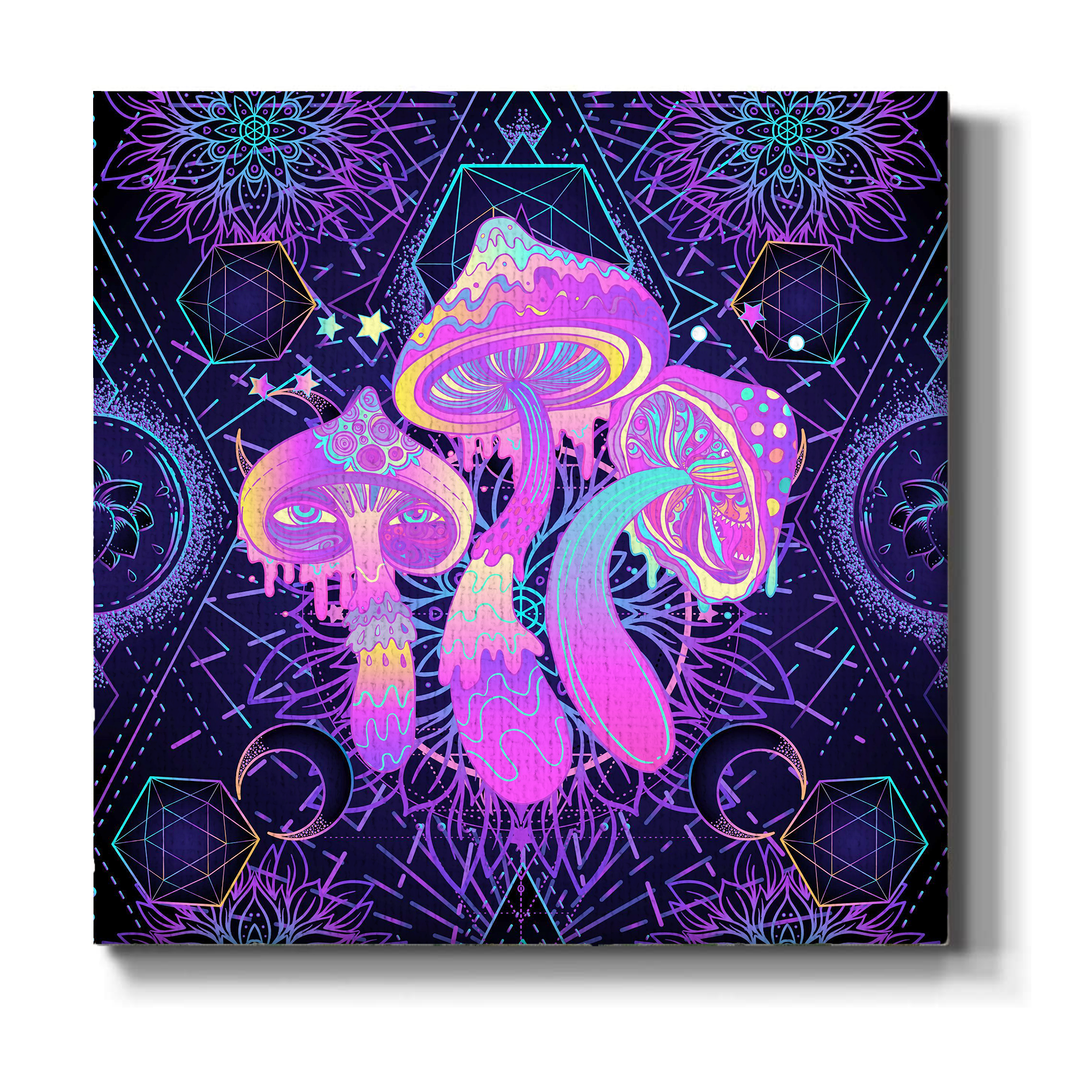 Mushrooms Wall Canvas 1 Piece