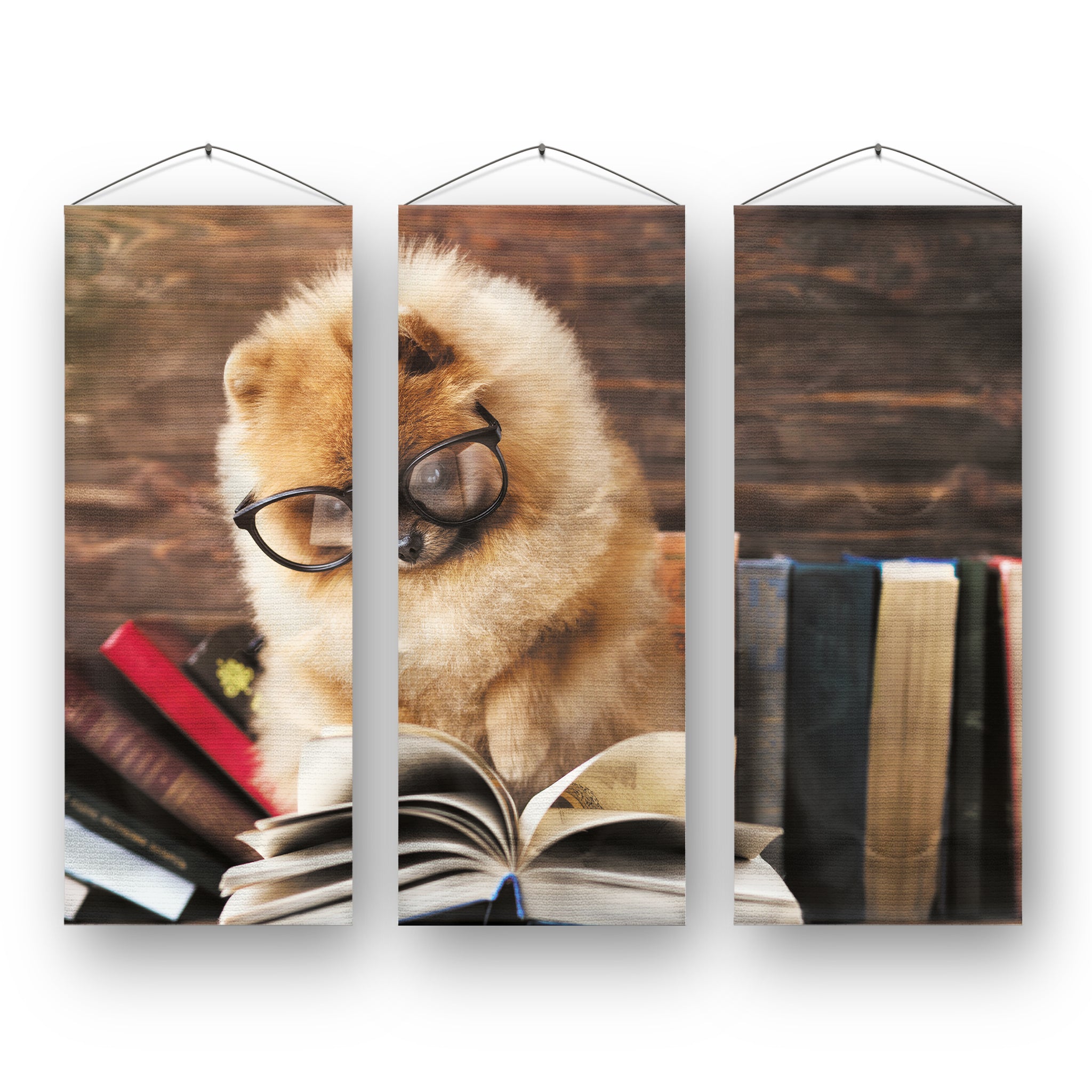 Animals with Glasses Set of 3 Wall Banner