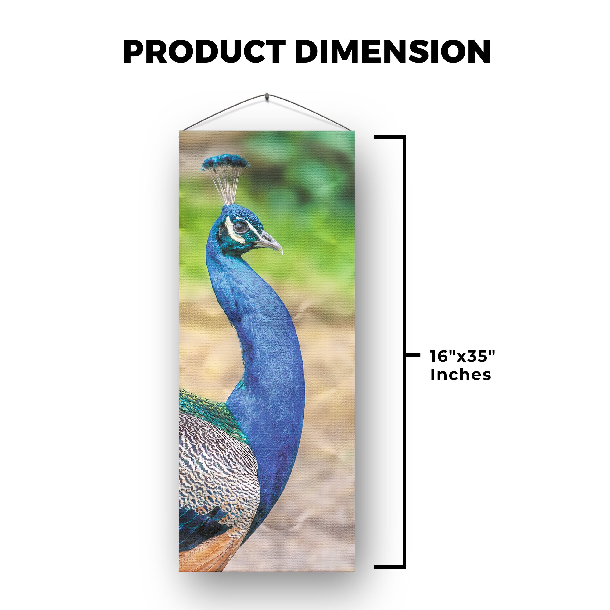 Peacock Set 