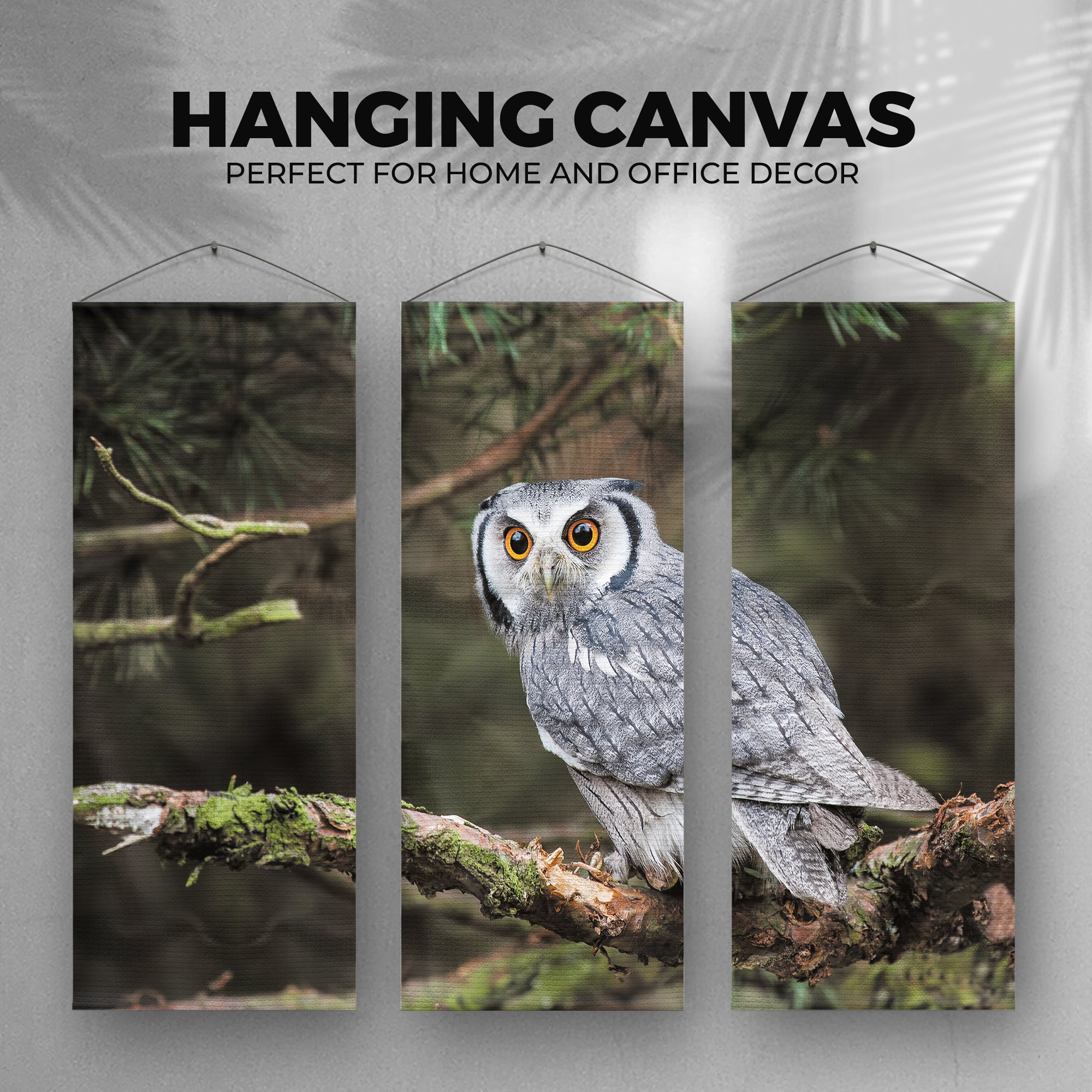 Owl Set of 3 Canvas Wall Art