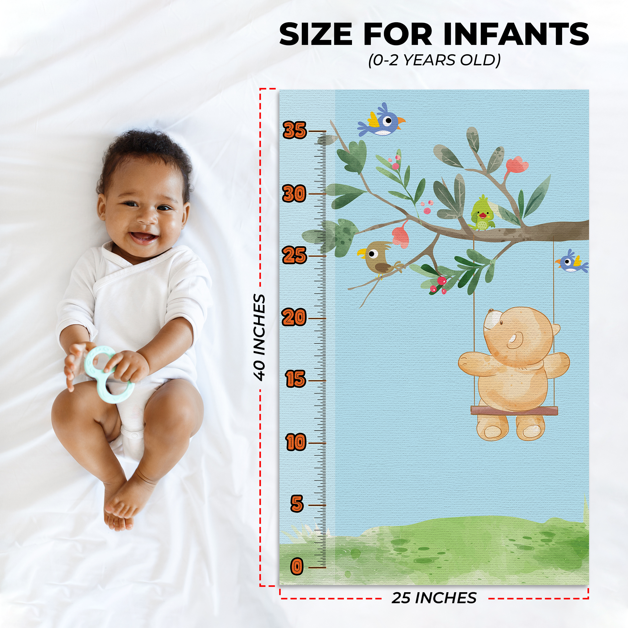 Bear Infant Growth Chart